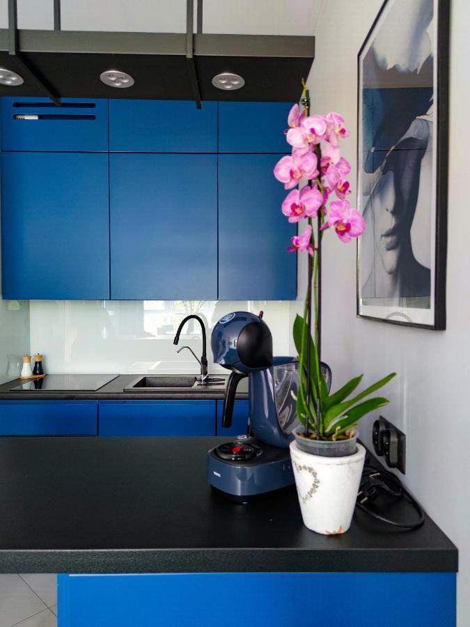 Apartment Blue Bb Bielsko-Biala